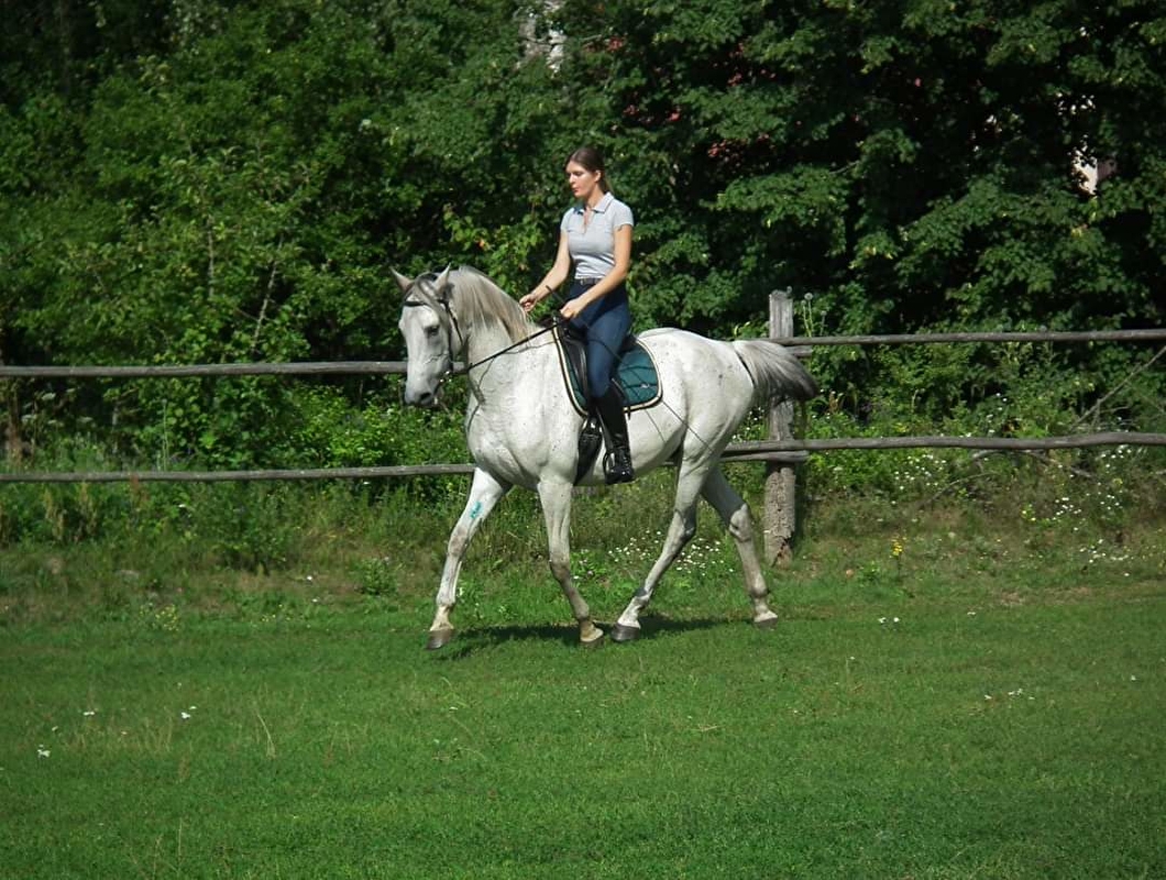 Mróz Equestrian Family - zdjęcie 9