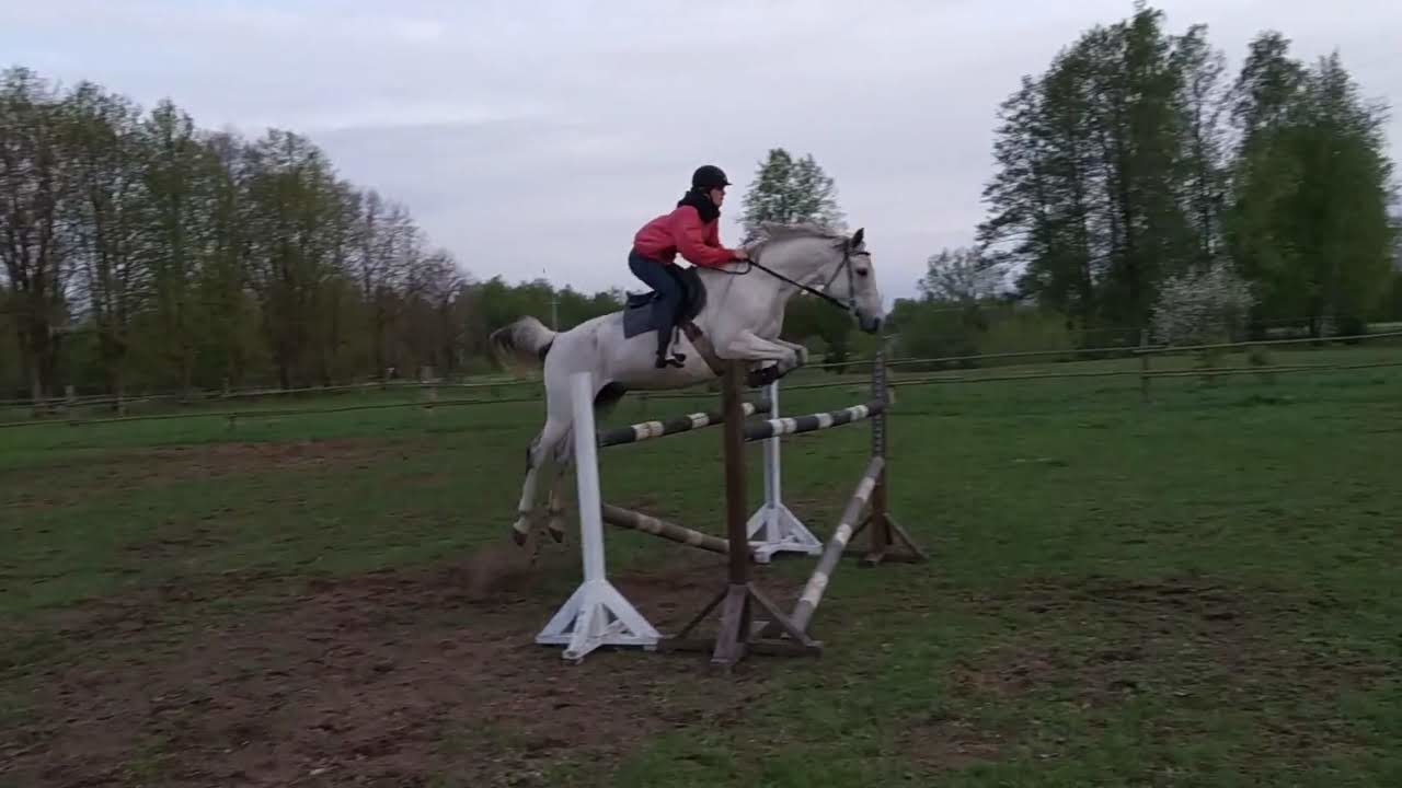 Mróz Equestrian Family - zdjęcie 14