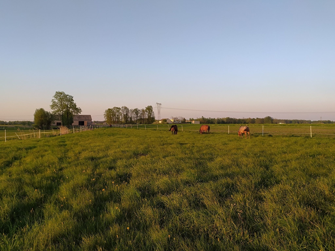 Pensjonat Equi Haven - zdjęcie 11