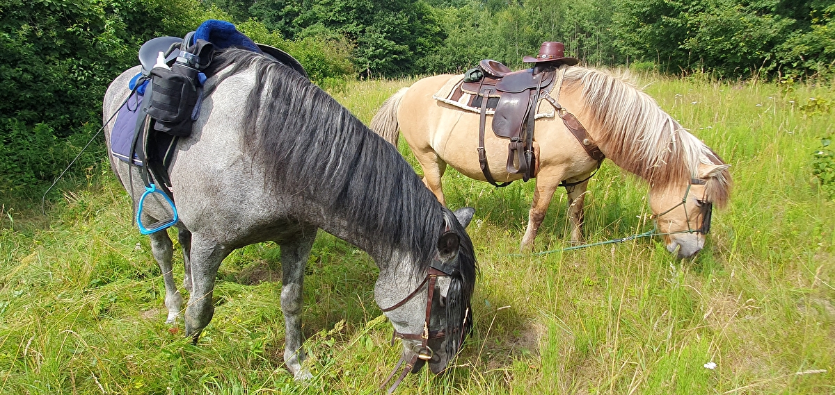 Stajnia Moje Bieszczady - zdjęcie 3