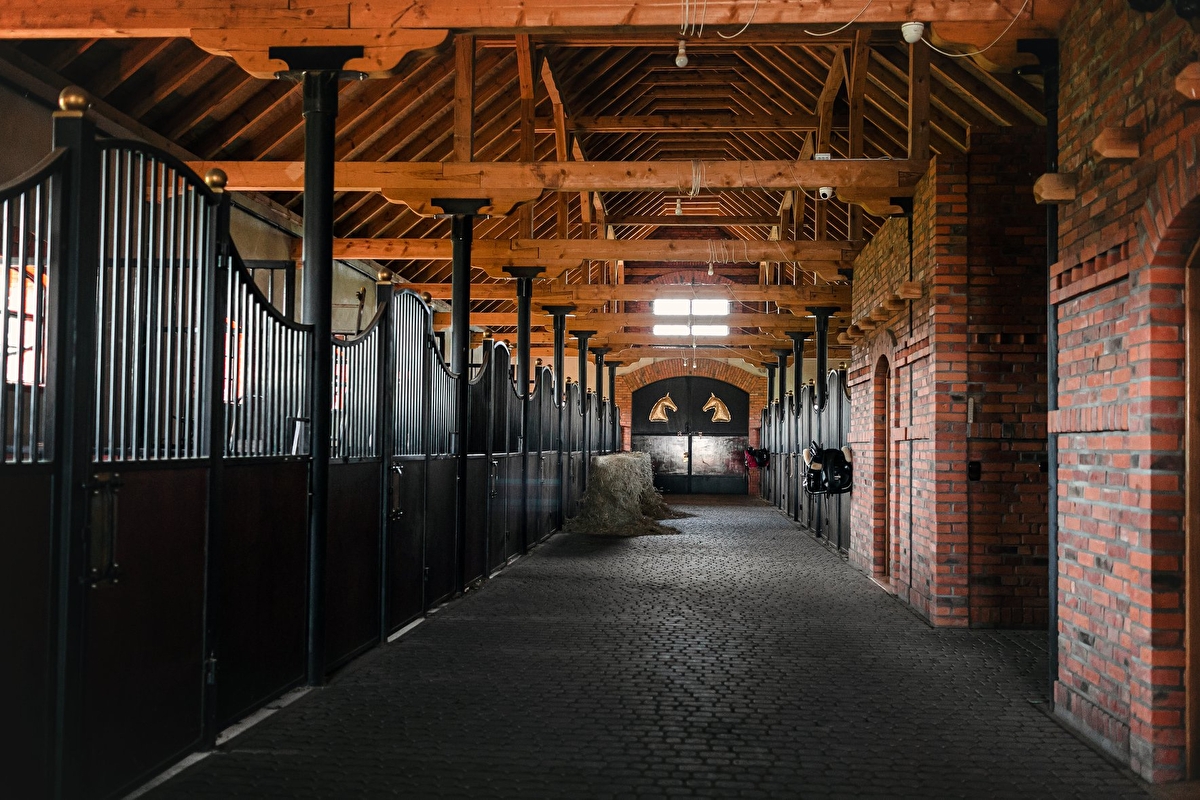 Stadnina Gąsowscy - zdjęcie 1