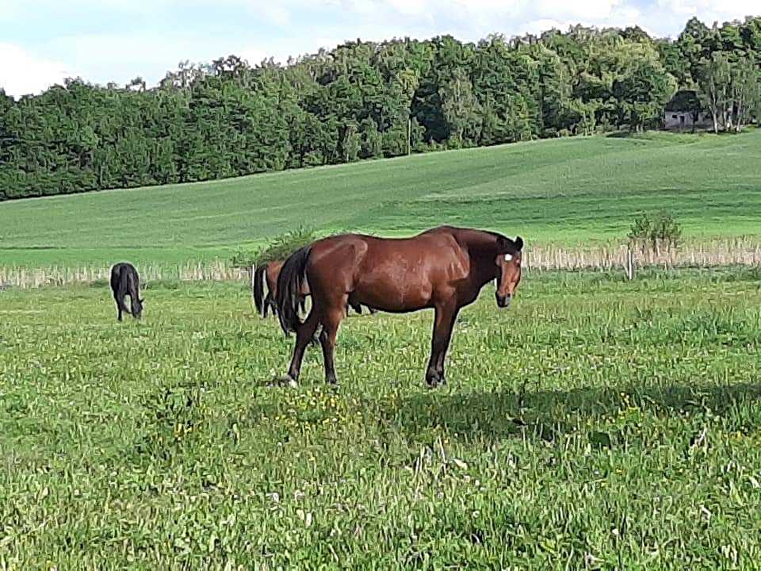 OJ Karino - zdjęcie 12