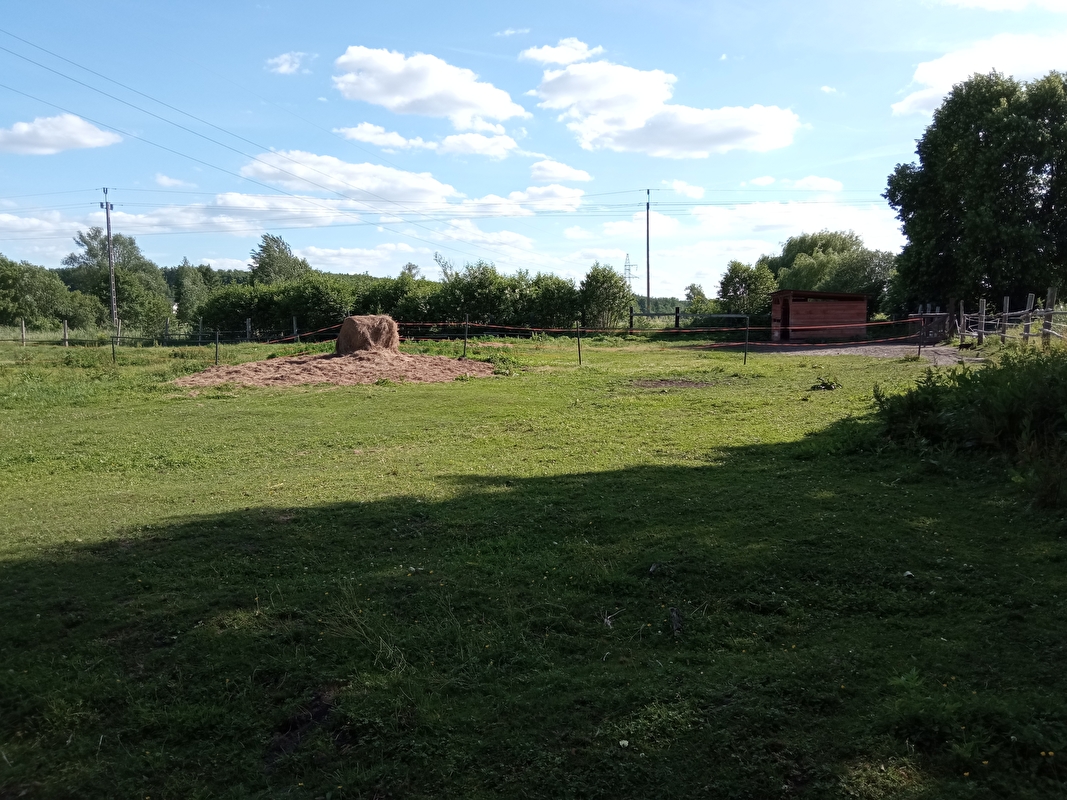 Stajnia Czyżki - zdjęcie 1