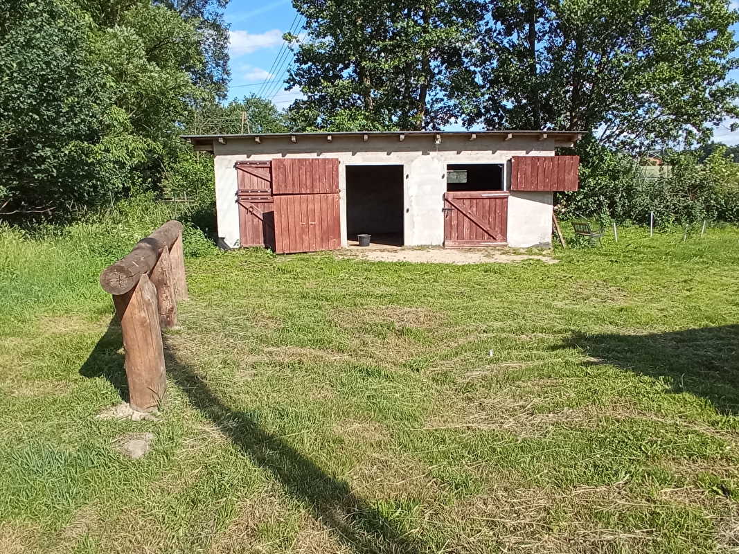 Stajnia Czyżki - zdjęcie 6