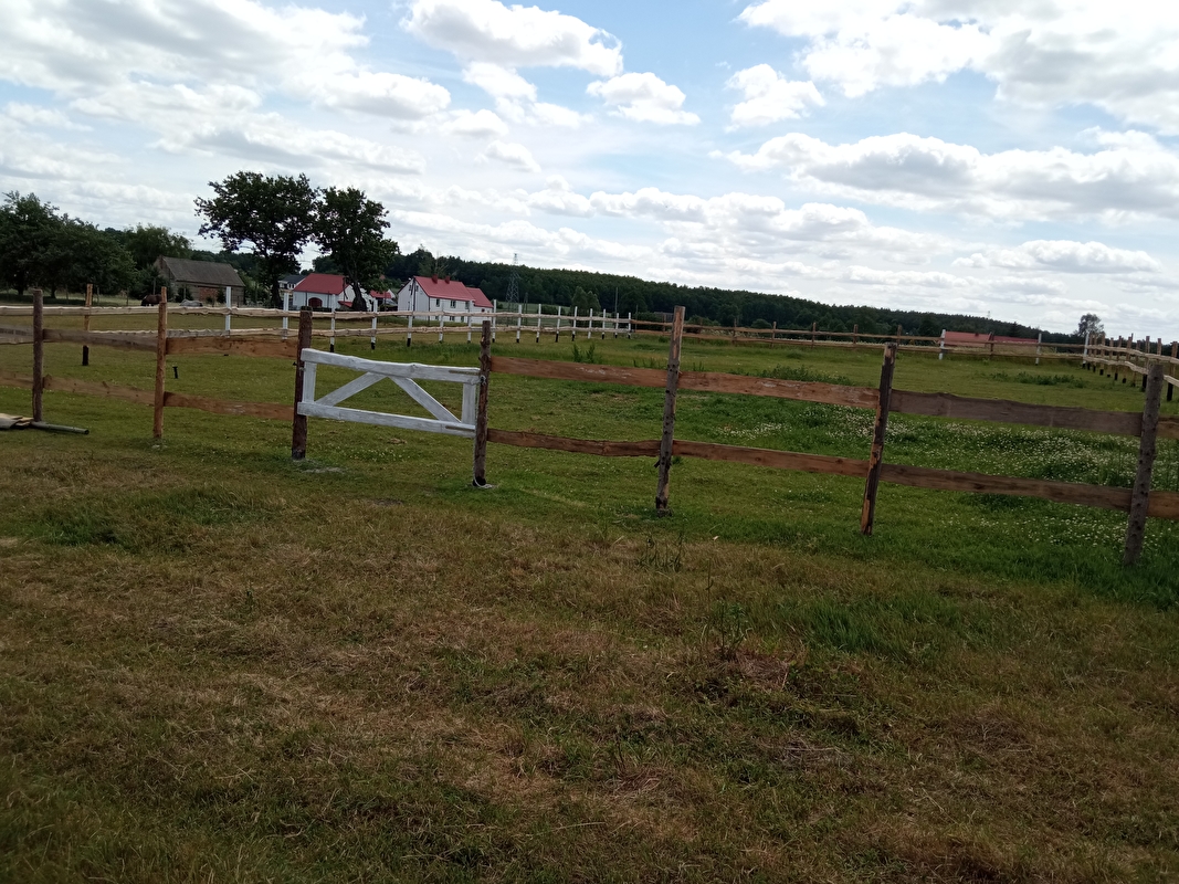 Stajnia Czyżki - zdjęcie 8