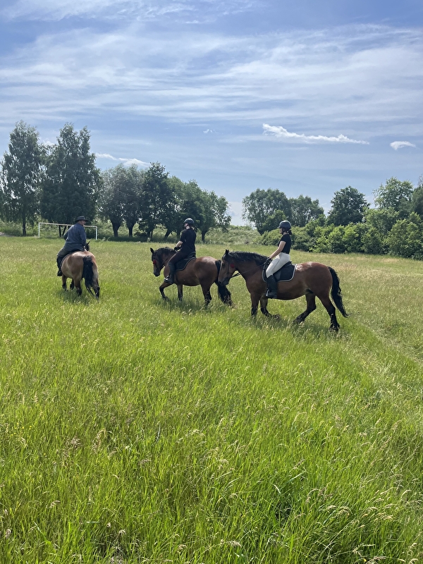 Stajnia HorseFarm - zdjęcie 6
