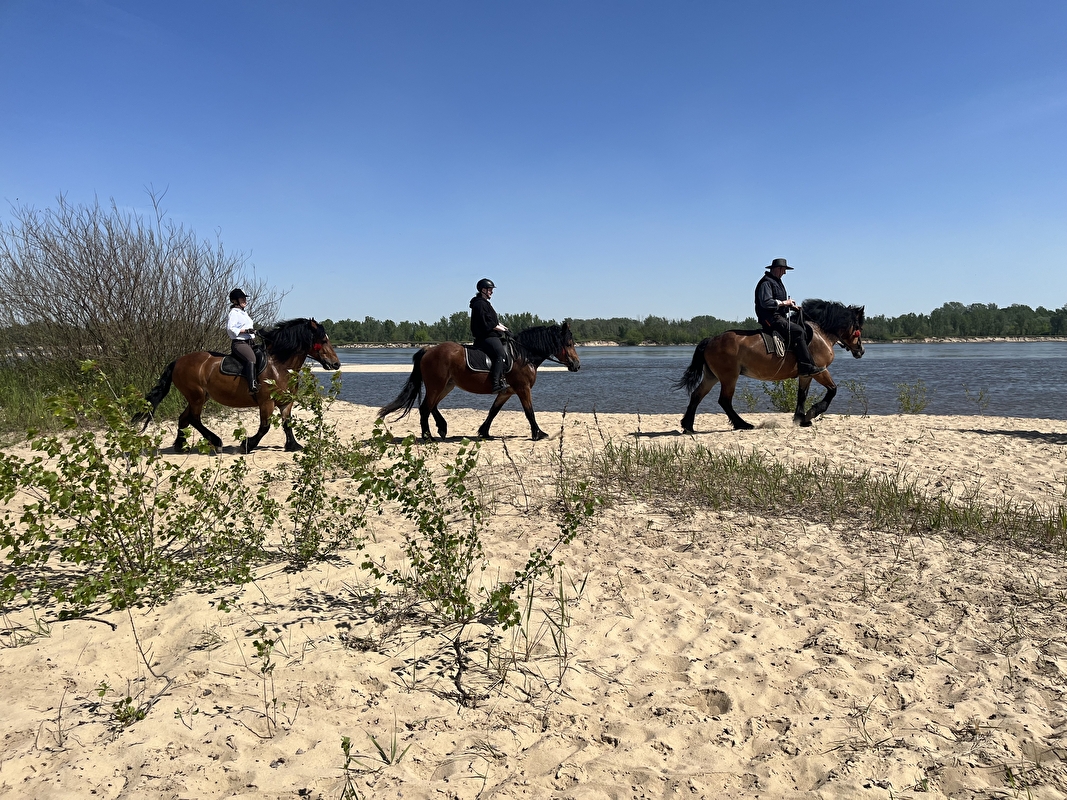 Stajnia HorseFarm - zdjęcie 8