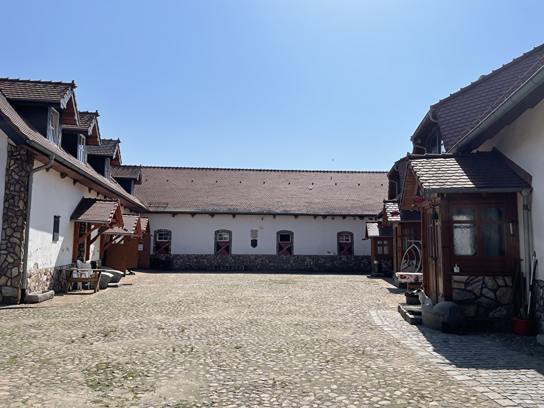 Stajnia Koni Wyścigowych Skorogoszcz Roman Piwko - zdjęcie 1