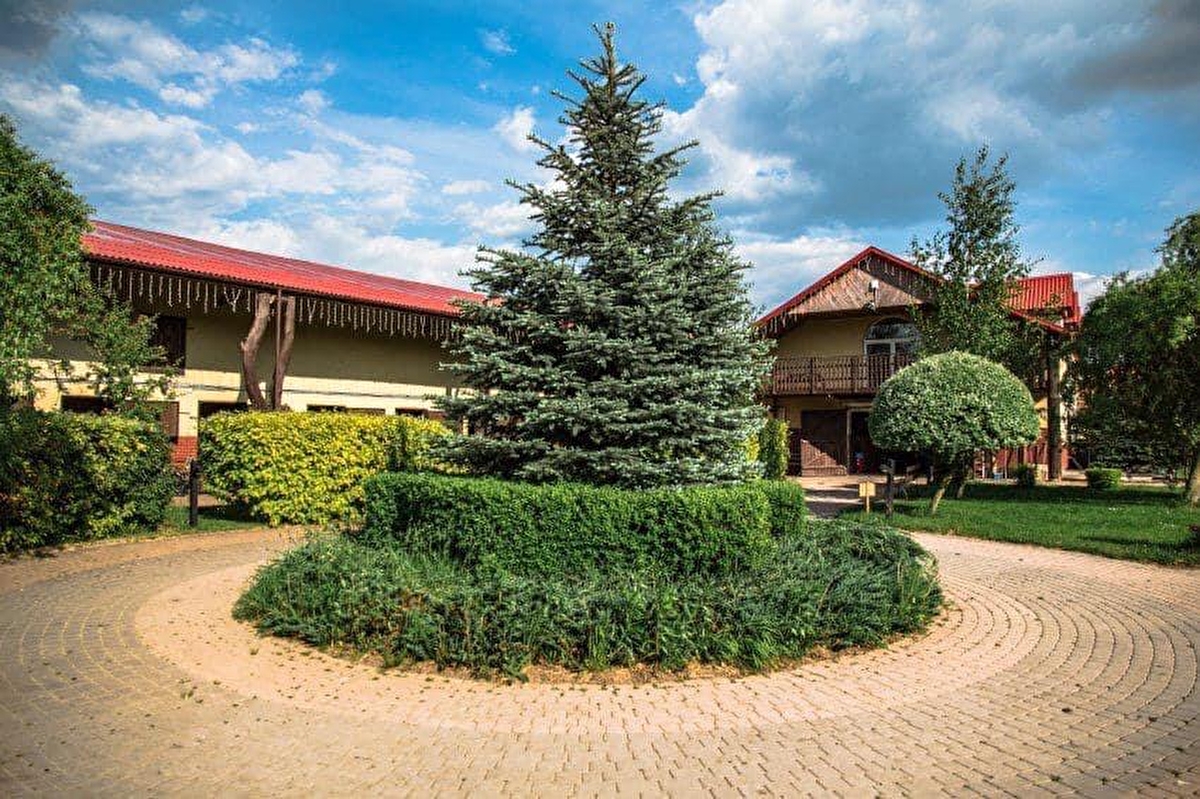 Ośrodek Jeździecki Golden Horse - zdjęcie 2