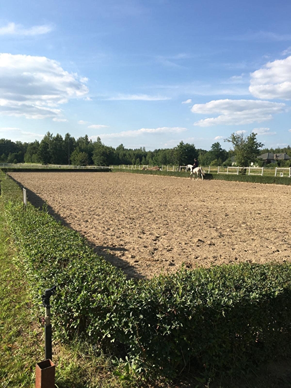 Ośrodek Jeździecki Golden Horse - zdjęcie 6