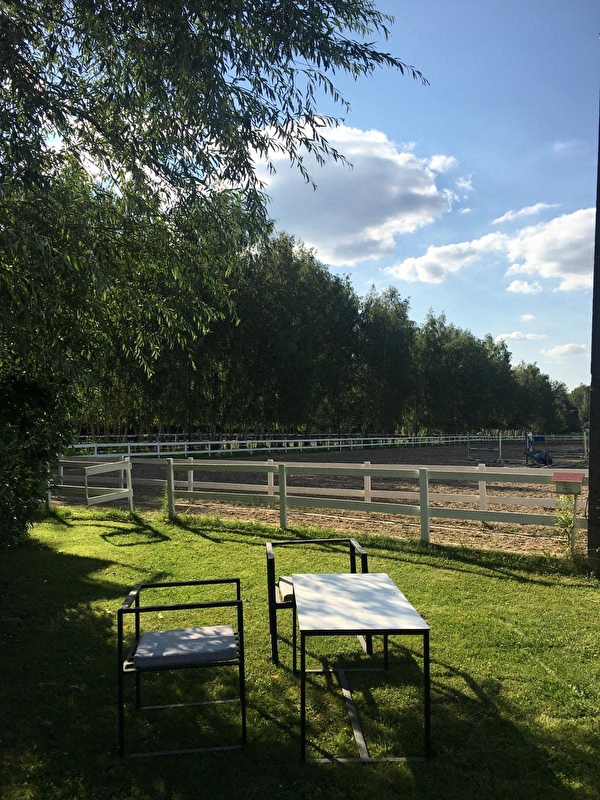 Ośrodek Jeździecki Golden Horse - zdjęcie 7