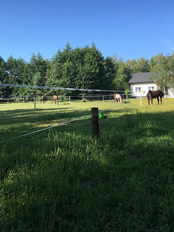 Ośrodek Jeździecki Golden Horse - zdjęcie 15
