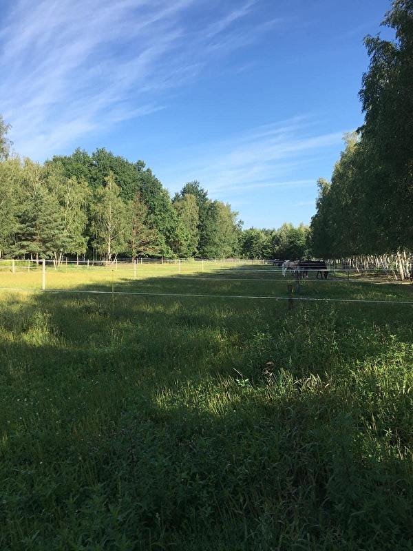 Ośrodek Jeździecki Golden Horse - zdjęcie 16