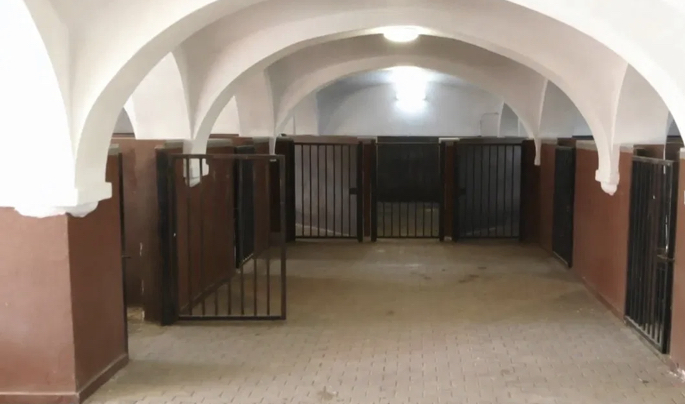 Stajnia Dyplomata Kłaczyna - zdjęcie 4