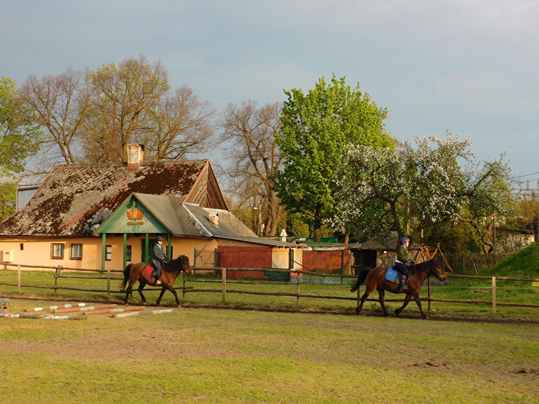 Rancho u Jana - Katowice - zdjęcie 1