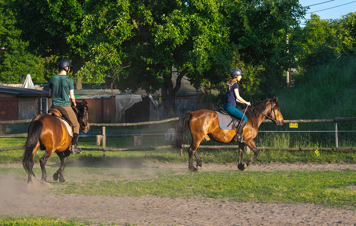 Rancho u Jana - Katowice - zdjęcie 3