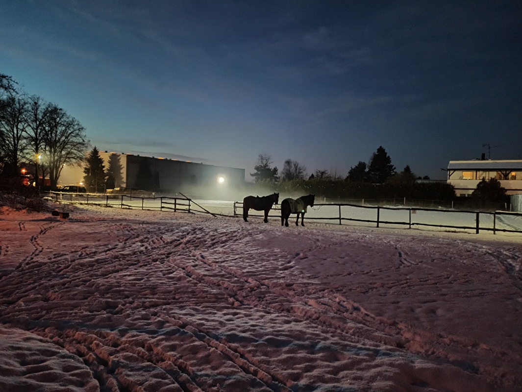 Rancho u Jana - Katowice - zdjęcie 7