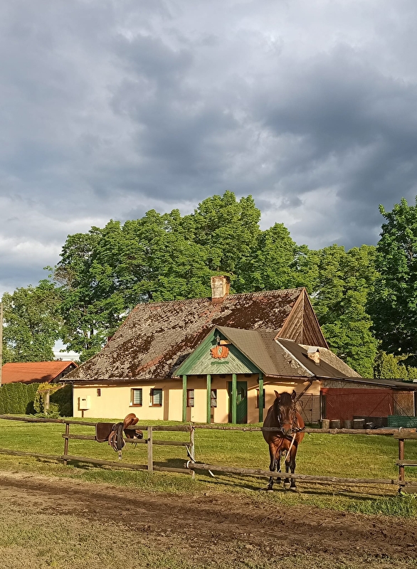 Rancho u Jana - Katowice - zdjęcie 10