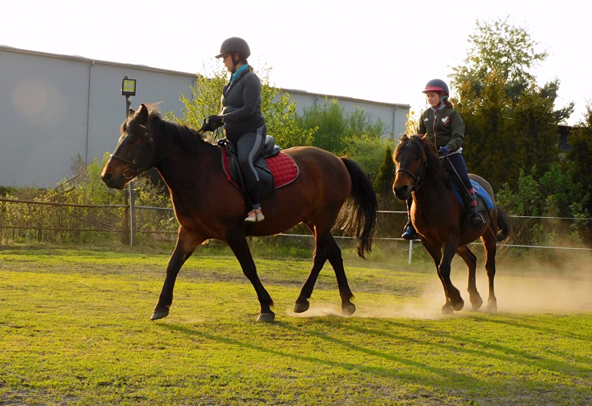 Rancho u Jana - Katowice - zdjęcie 29