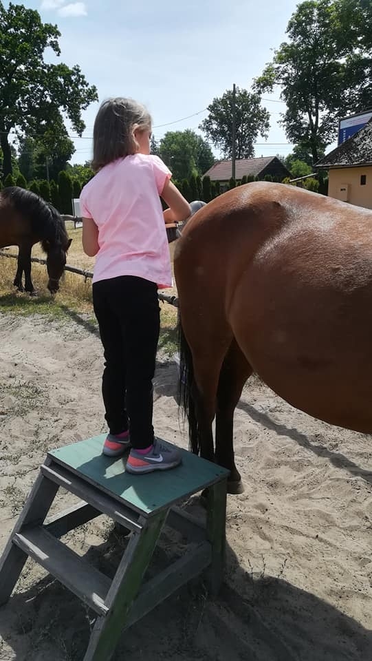 Rancho u Jana - Katowice - zdjęcie 33