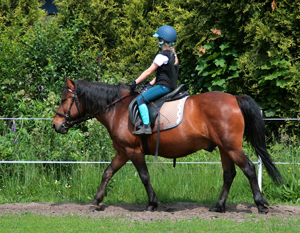 Rancho u Jana - Katowice - zdjęcie 34