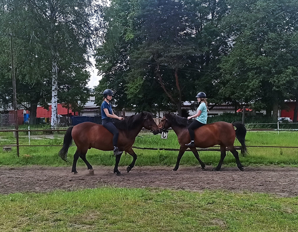 Rancho u Jana - Katowice - zdjęcie 40