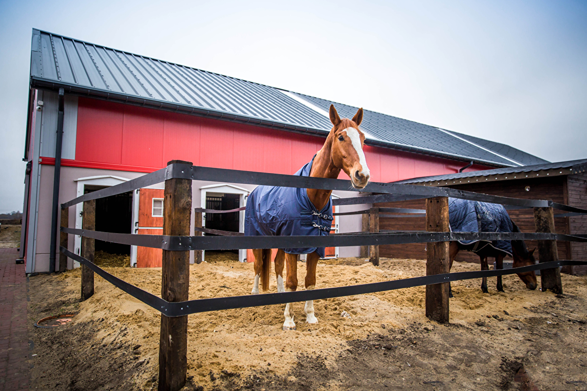 Becker Sport Equestrian Center - zdjęcie 4