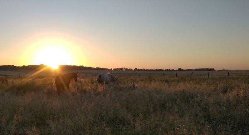 "Stajnia Girawolta" Pensjonat - zdjęcie 1