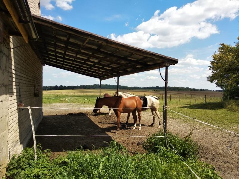 "Stajnia Girawolta" Pensjonat - zdjęcie 6