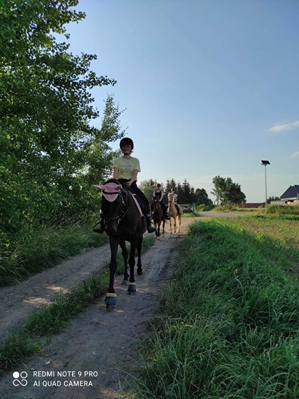 Stajnia Amazonka Grochowiska - zdjęcie 8