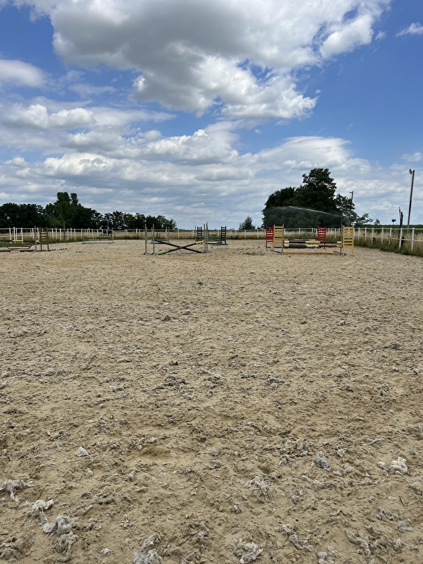 Stajnia sportowa prywatna EquiQuest - zdjęcie 3