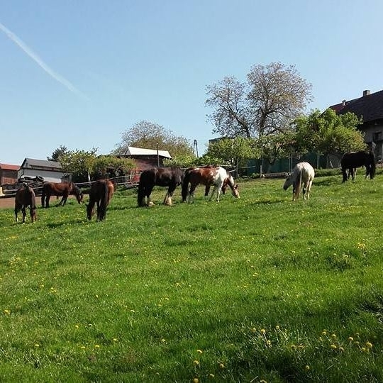 STAJNIA MONTANA - zdjęcie 1