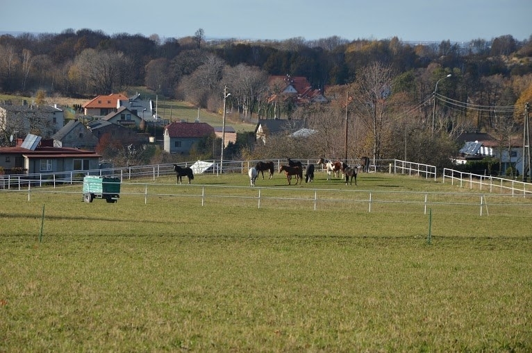 STAJNIA MONTANA - zdjęcie 6