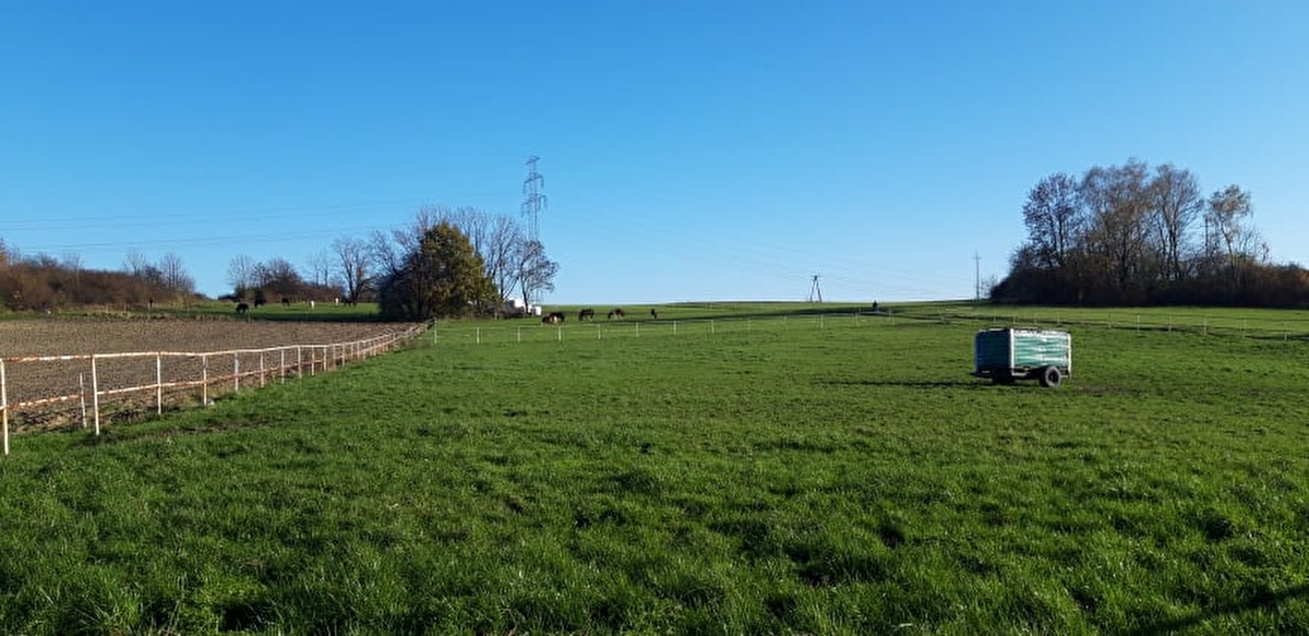 STAJNIA MONTANA - zdjęcie 9