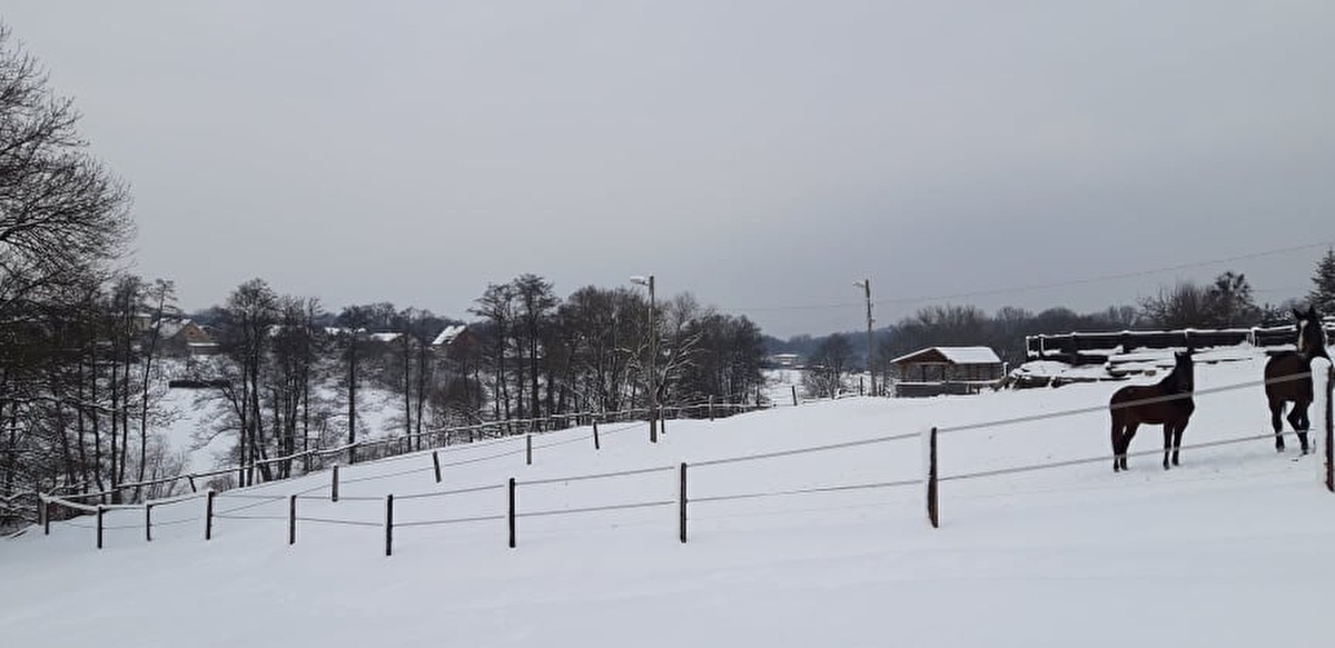 STAJNIA MONTANA - zdjęcie 11