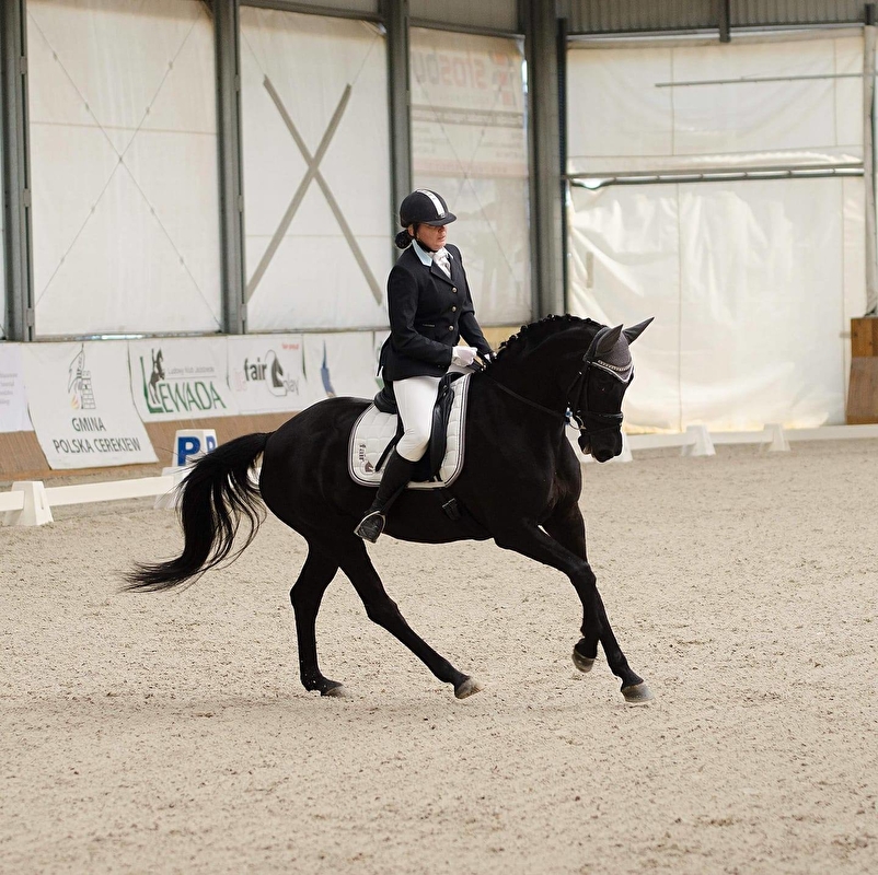 Greys Horses - zdjęcie 18