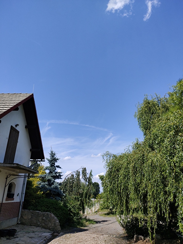 Ośrodek Jeździecki Lavender - zdjęcie 6