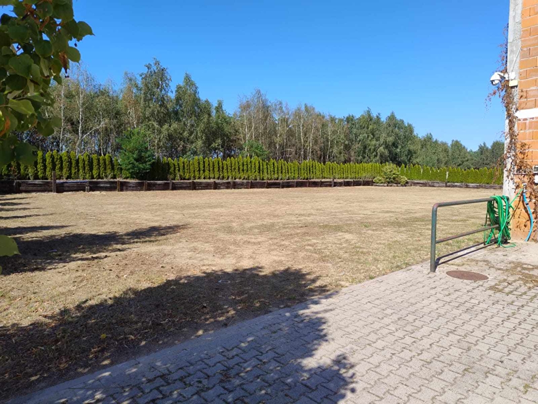 Stajnia i Pensjonat dla Koni Carte Blanche - zdjęcie 4