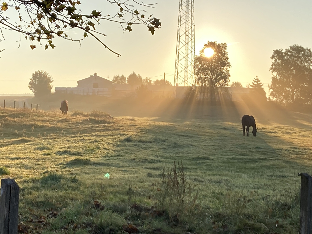 Stajnia Pensjonatowa na Mazurach - zdjęcie 1