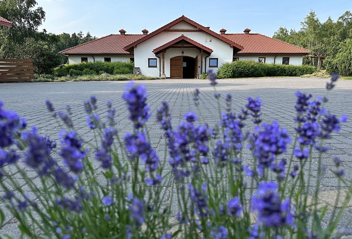 Stajnia Harmony Park - zdjęcie 2