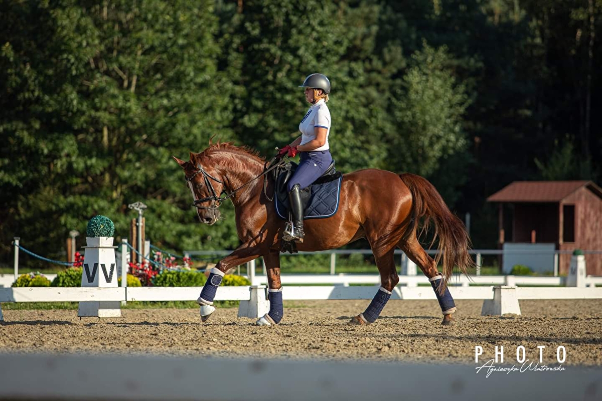 Klub Jeździecki Classic - zdjęcie 8