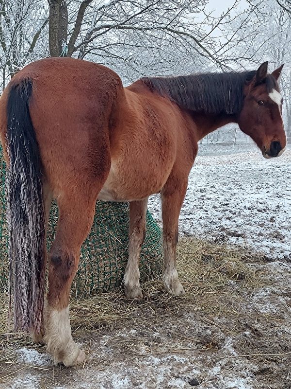 Zwierzyniec Baby Jagi - zdjęcie 7