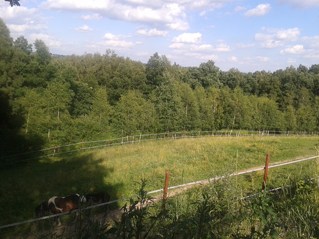 Stajnia pod Świerkami - zdjęcie 10