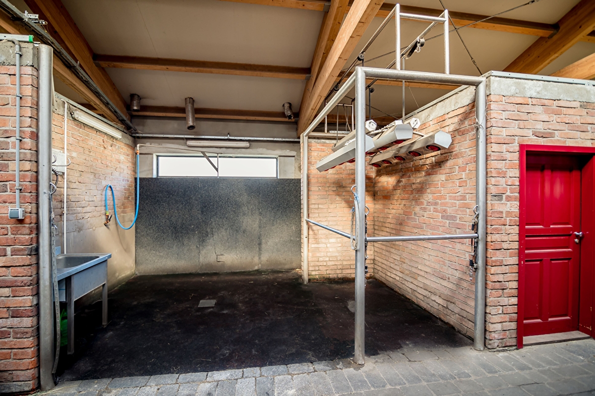 Salio Equisport Resort - zdjęcie 5