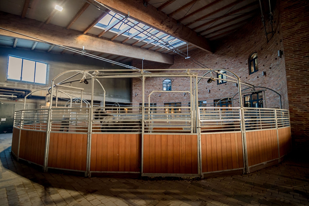 Salio Equisport Resort - zdjęcie 6