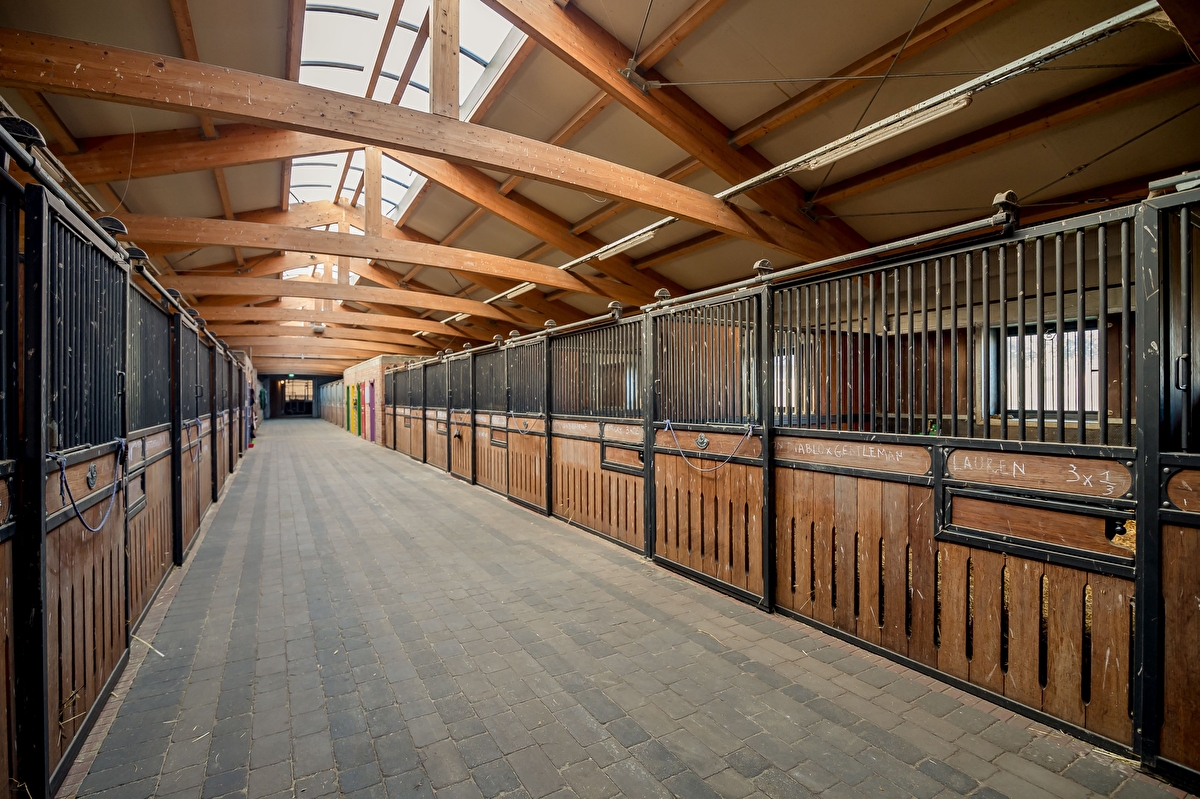 Salio Equisport Resort - zdjęcie 7