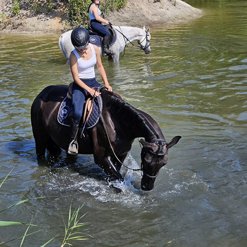 Salio Equisport Resort - zdjęcie 10