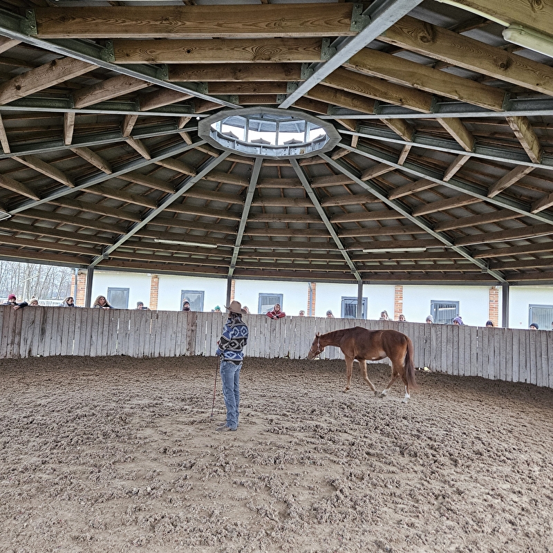 Salio Equisport Resort - zdjęcie 12