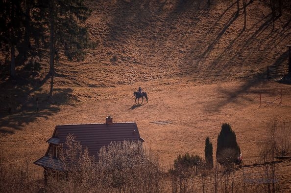 Stajnia AGRI SUDETY - zdjęcie 2