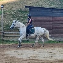 Stajnia AGRI SUDETY - zdjęcie 3